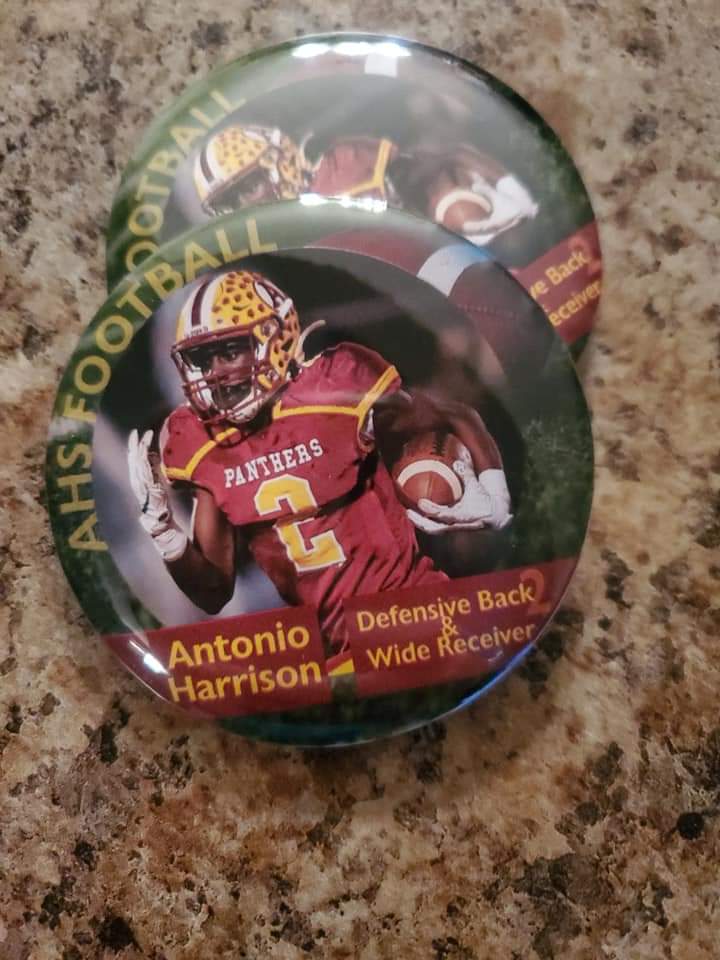 Button Pins